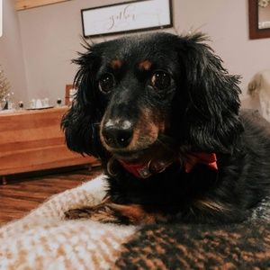 Meet your Posher, Amy